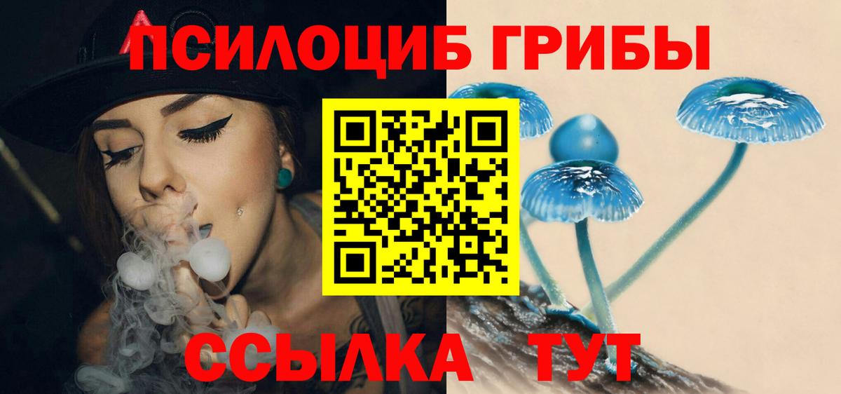 Жуковский  Псилоцибиновые грибы Magic Shrooms  Вход с VPN 